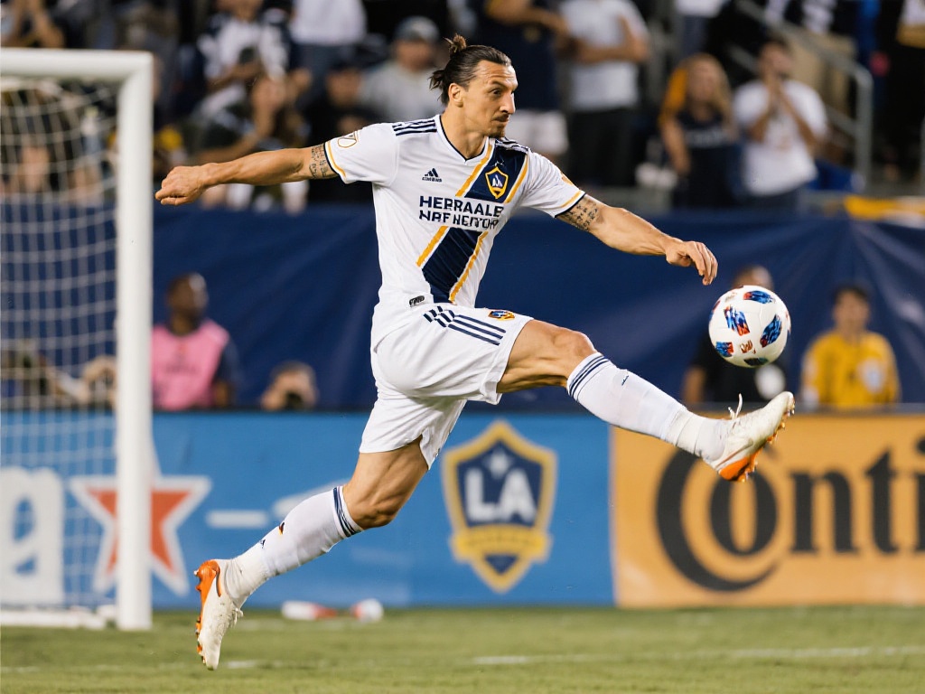 支持者为他 支持者为他